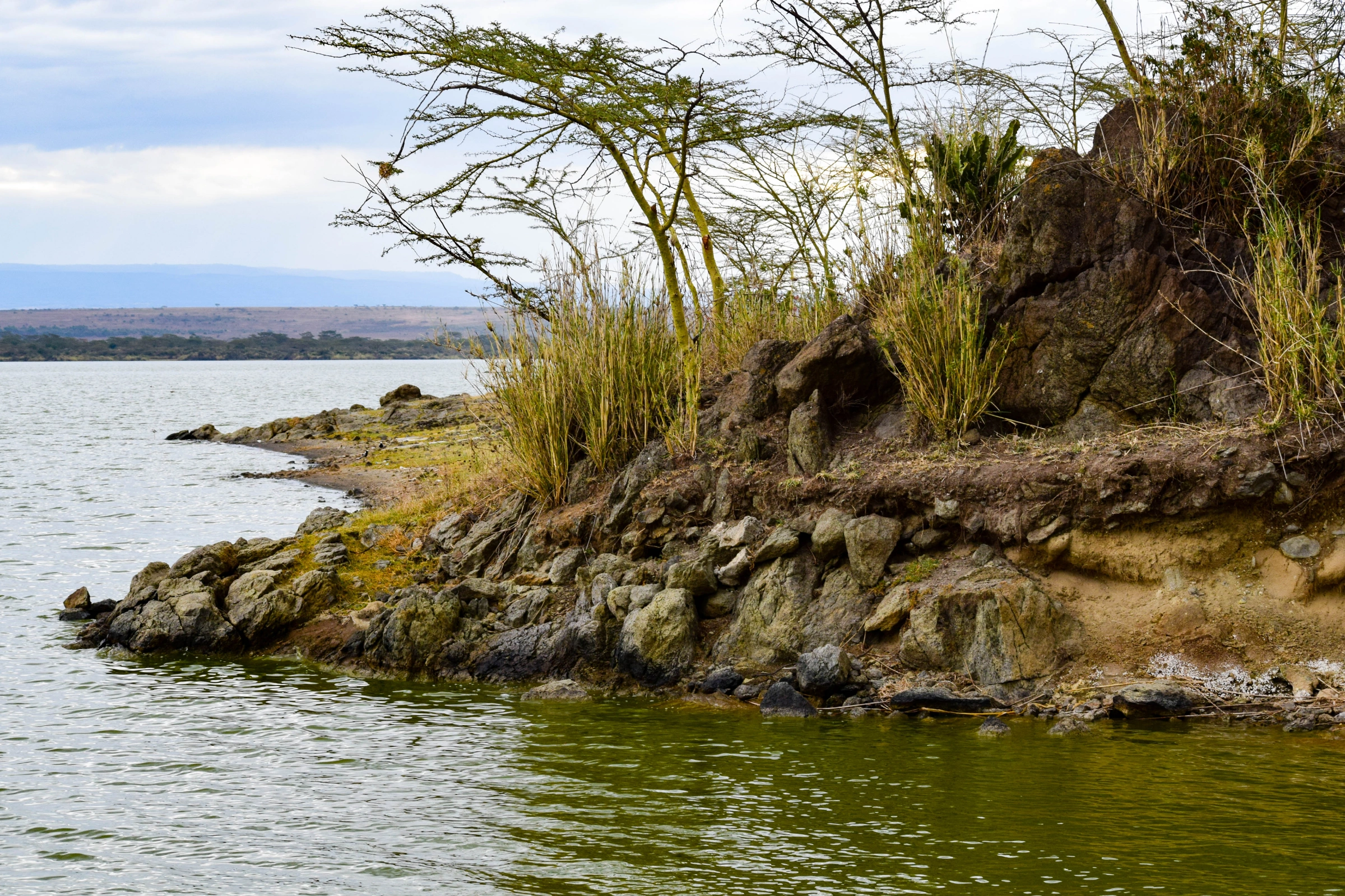 Lake_Elementaita[1].webp